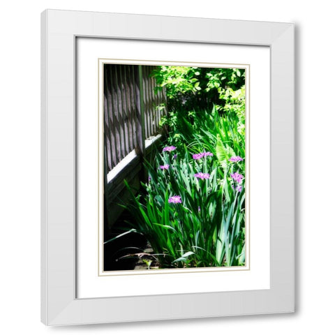 Spring Iris II White Modern Wood Framed Art Print with Double Matting by Hausenflock, Alan