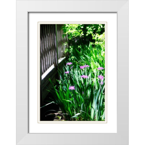 Spring Iris II White Modern Wood Framed Art Print with Double Matting by Hausenflock, Alan