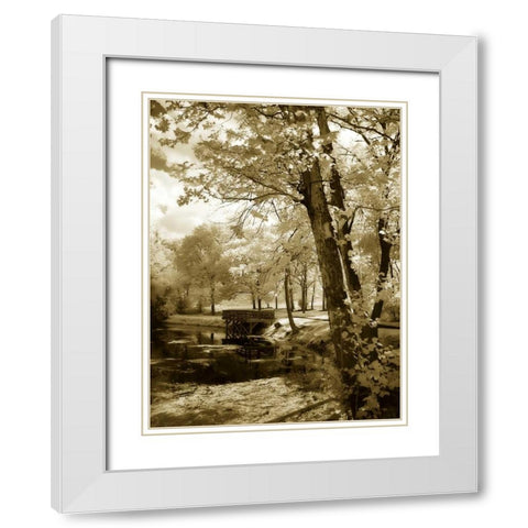 Mint Springs Lake I White Modern Wood Framed Art Print with Double Matting by Hausenflock, Alan