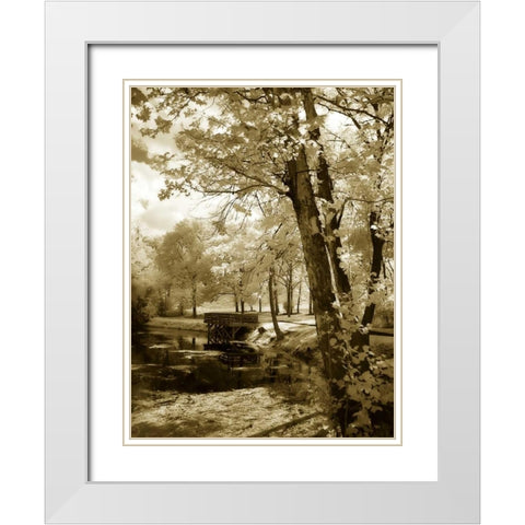 Mint Springs Lake I White Modern Wood Framed Art Print with Double Matting by Hausenflock, Alan