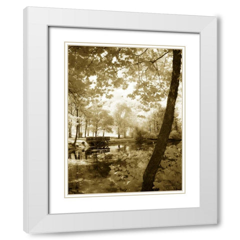 Mint Springs Lake II White Modern Wood Framed Art Print with Double Matting by Hausenflock, Alan