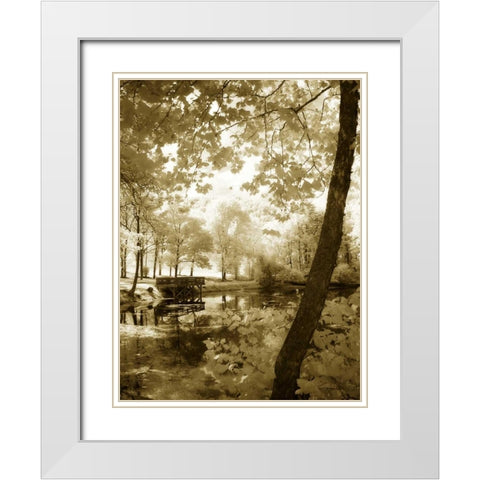 Mint Springs Lake II White Modern Wood Framed Art Print with Double Matting by Hausenflock, Alan