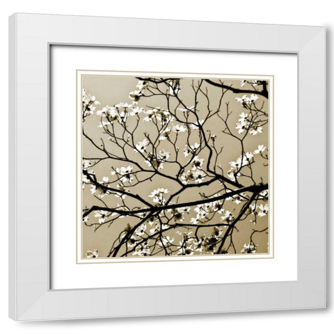 Dogwood Square I White Modern Wood Framed Art Print with Double Matting by Hausenflock, Alan