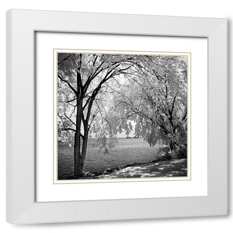 Hopewell Shores Square I White Modern Wood Framed Art Print with Double Matting by Hausenflock, Alan