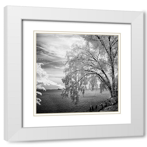 Hopewell Shores Square II White Modern Wood Framed Art Print with Double Matting by Hausenflock, Alan