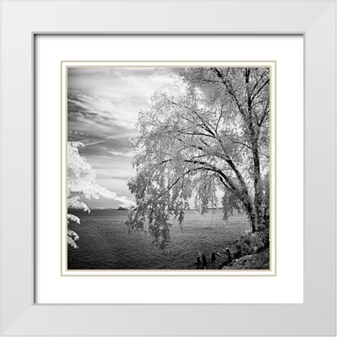 Hopewell Shores Square II White Modern Wood Framed Art Print with Double Matting by Hausenflock, Alan