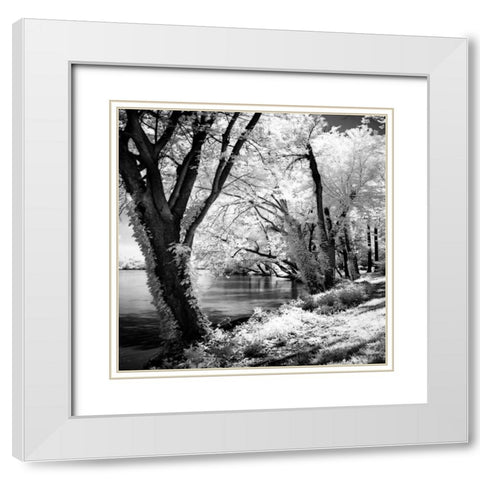Spring on the River Square II White Modern Wood Framed Art Print with Double Matting by Hausenflock, Alan