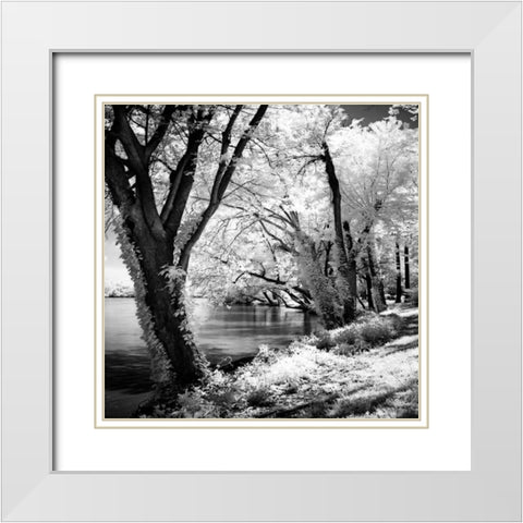 Spring on the River Square II White Modern Wood Framed Art Print with Double Matting by Hausenflock, Alan