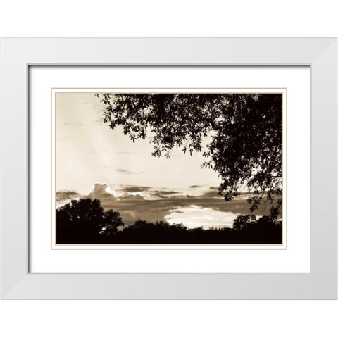 Sunset through Trees I White Modern Wood Framed Art Print with Double Matting by Hausenflock, Alan