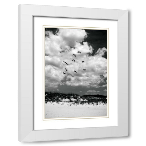 Pelicans over Dunes V White Modern Wood Framed Art Print with Double Matting by Hausenflock, Alan