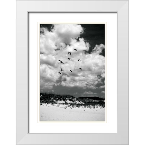 Pelicans over Dunes V White Modern Wood Framed Art Print with Double Matting by Hausenflock, Alan