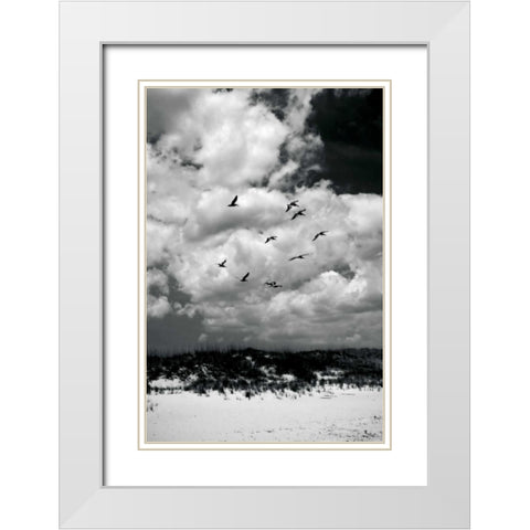 Pelicans over Dunes VI White Modern Wood Framed Art Print with Double Matting by Hausenflock, Alan