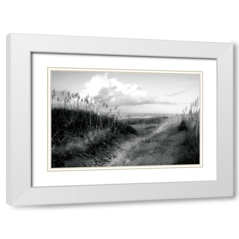 Dunes I White Modern Wood Framed Art Print with Double Matting by Hausenflock, Alan