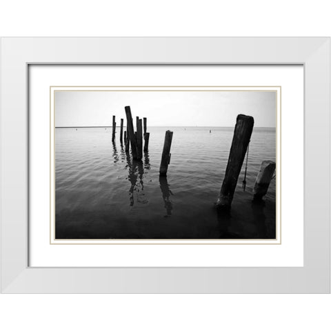 Pilings I White Modern Wood Framed Art Print with Double Matting by Hausenflock, Alan