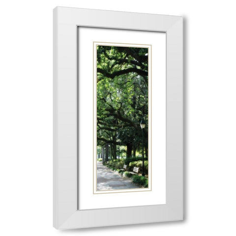 Savannah Sidewalk Panel I White Modern Wood Framed Art Print with Double Matting by Hausenflock, Alan