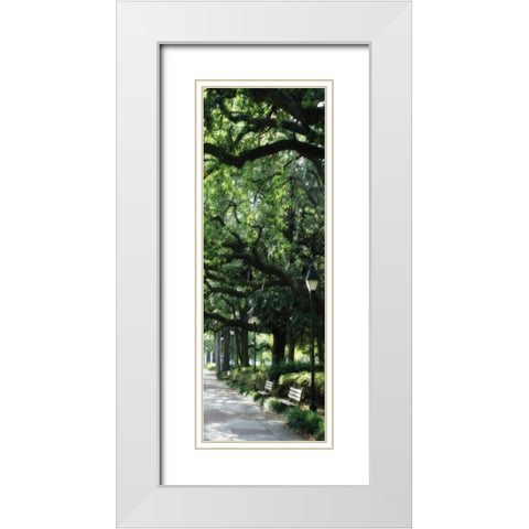 Savannah Sidewalk Panel I White Modern Wood Framed Art Print with Double Matting by Hausenflock, Alan