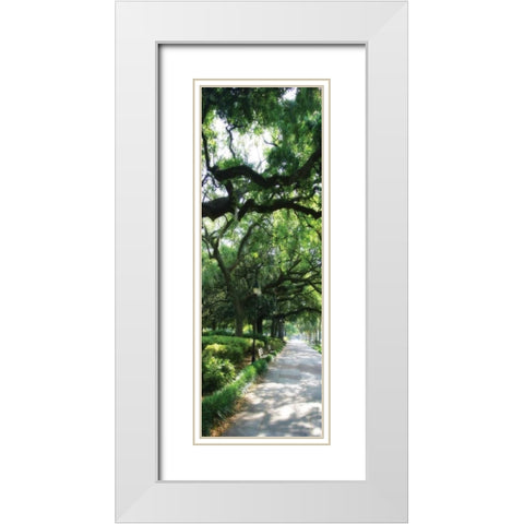 Savannah Sidewalk Panel II White Modern Wood Framed Art Print with Double Matting by Hausenflock, Alan