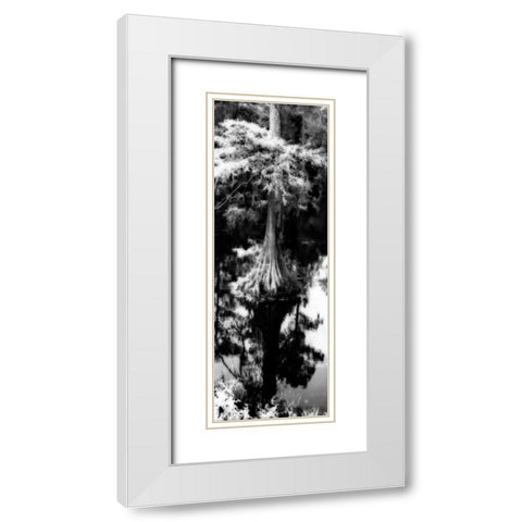 Trenton Cyprus Panel I White Modern Wood Framed Art Print with Double Matting by Hausenflock, Alan