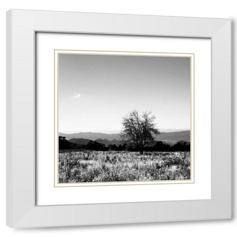 Big Meadow Square III White Modern Wood Framed Art Print with Double Matting by Hausenflock, Alan