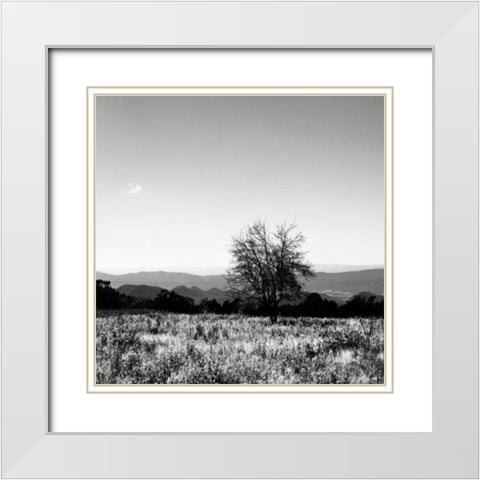 Big Meadow Square III White Modern Wood Framed Art Print with Double Matting by Hausenflock, Alan