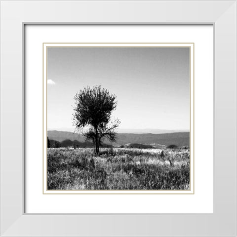 Big Meadow Square IV White Modern Wood Framed Art Print with Double Matting by Hausenflock, Alan