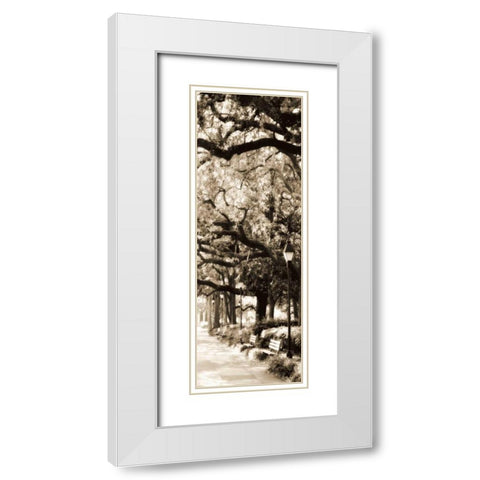 Savannah in Sepia I White Modern Wood Framed Art Print with Double Matting by Hausenflock, Alan