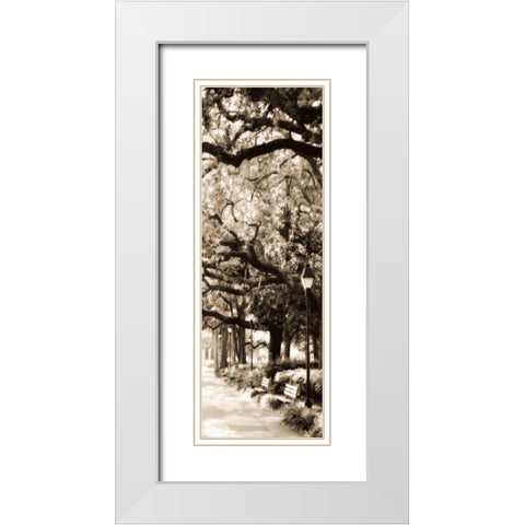 Savannah in Sepia I White Modern Wood Framed Art Print with Double Matting by Hausenflock, Alan