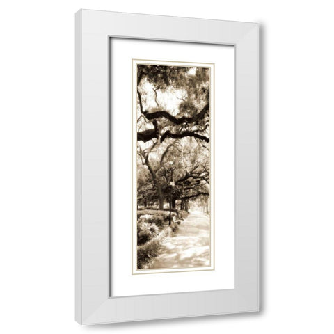 Savannah in Sepia II White Modern Wood Framed Art Print with Double Matting by Hausenflock, Alan