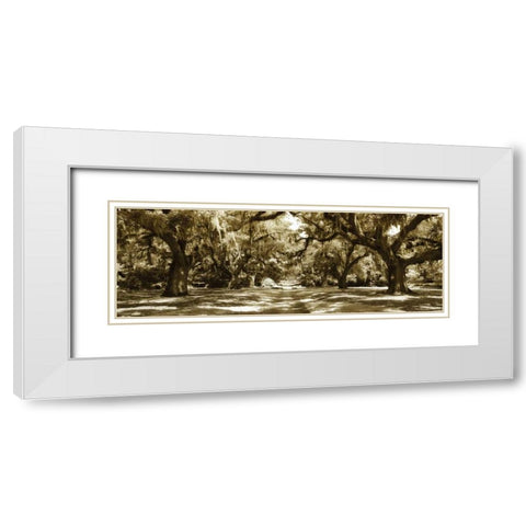 Druid Oaks Panel I White Modern Wood Framed Art Print with Double Matting by Hausenflock, Alan