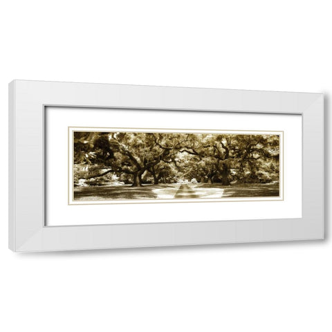 Druid Oaks Panel II White Modern Wood Framed Art Print with Double Matting by Hausenflock, Alan