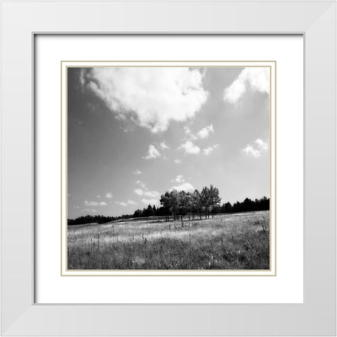 Tree Line Sq. I White Modern Wood Framed Art Print with Double Matting by Hausenflock, Alan