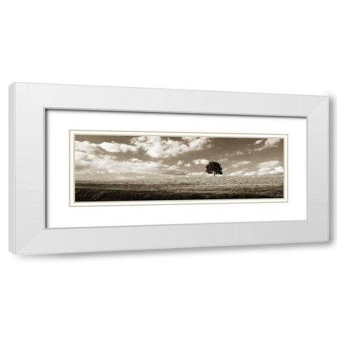 Cloudy Skies Panel I White Modern Wood Framed Art Print with Double Matting by Hausenflock, Alan