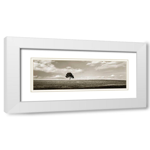 Cloudy Skies Panel III White Modern Wood Framed Art Print with Double Matting by Hausenflock, Alan