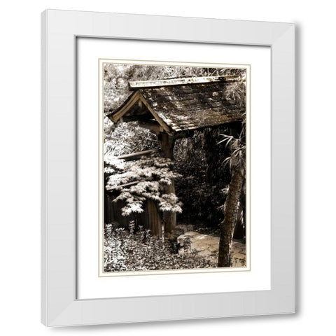 Bamboo Garden II White Modern Wood Framed Art Print with Double Matting by Hausenflock, Alan