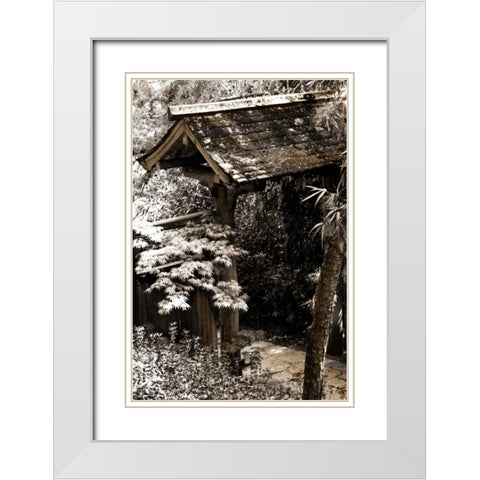 Bamboo Garden II White Modern Wood Framed Art Print with Double Matting by Hausenflock, Alan