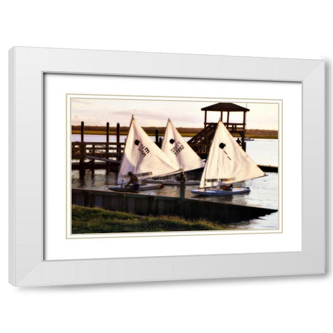 Three Sunfish II White Modern Wood Framed Art Print with Double Matting by Hausenflock, Alan