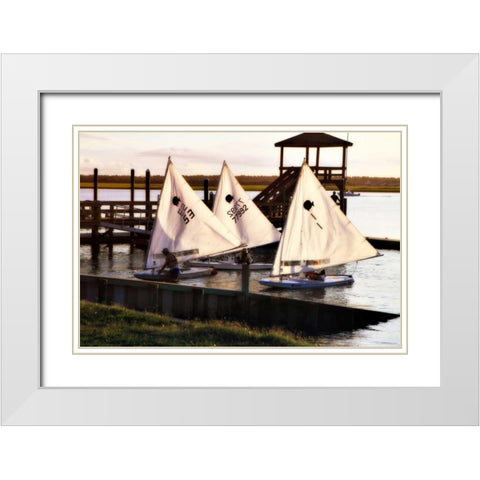 Three Sunfish II White Modern Wood Framed Art Print with Double Matting by Hausenflock, Alan