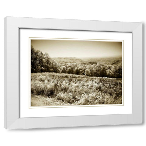 Piney Mountain I White Modern Wood Framed Art Print with Double Matting by Hausenflock, Alan