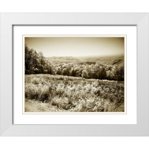 Piney Mountain I White Modern Wood Framed Art Print with Double Matting by Hausenflock, Alan