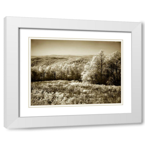 Piney Mountain II White Modern Wood Framed Art Print with Double Matting by Hausenflock, Alan