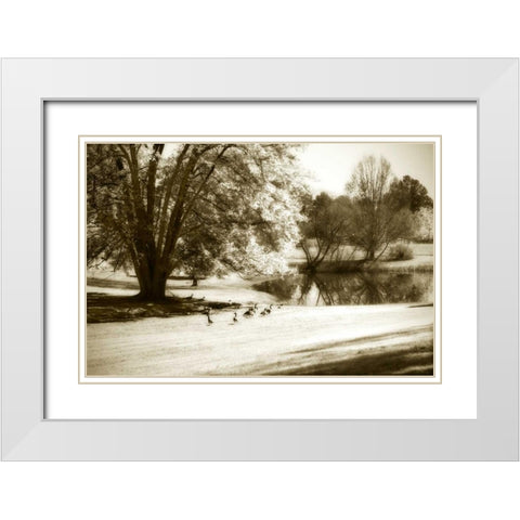 Geese at the Pond II White Modern Wood Framed Art Print with Double Matting by Hausenflock, Alan