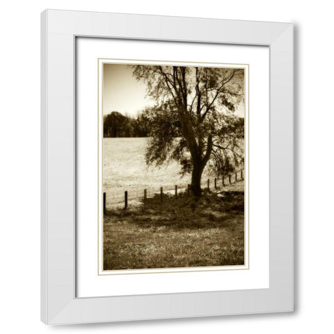 Rolling Pastures I White Modern Wood Framed Art Print with Double Matting by Hausenflock, Alan