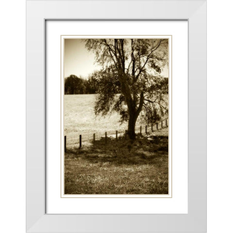Rolling Pastures I White Modern Wood Framed Art Print with Double Matting by Hausenflock, Alan