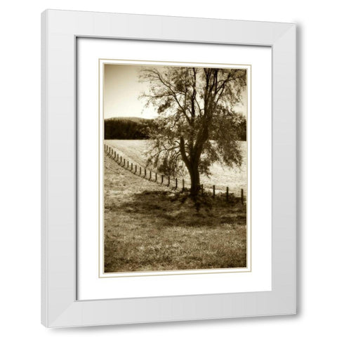 Rolling Pastures II White Modern Wood Framed Art Print with Double Matting by Hausenflock, Alan