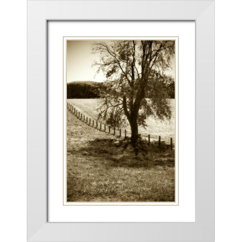 Rolling Pastures II White Modern Wood Framed Art Print with Double Matting by Hausenflock, Alan