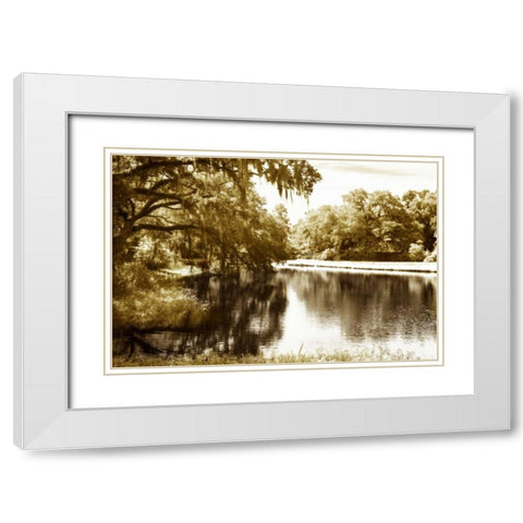 Mossy Lake I White Modern Wood Framed Art Print with Double Matting by Hausenflock, Alan