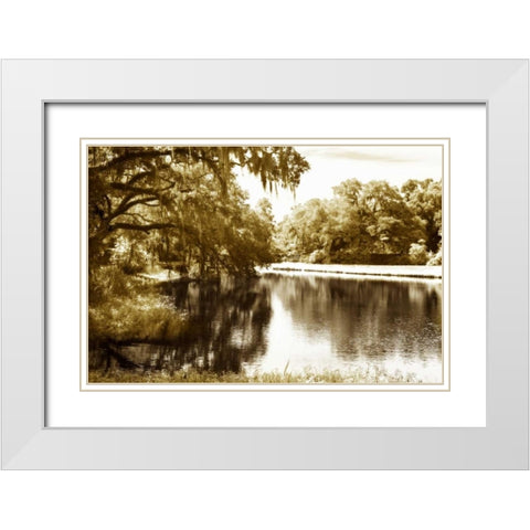 Mossy Lake I White Modern Wood Framed Art Print with Double Matting by Hausenflock, Alan