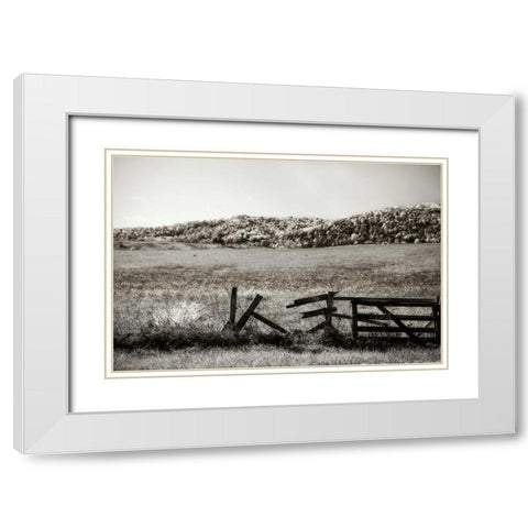 Autumn Pastures III White Modern Wood Framed Art Print with Double Matting by Hausenflock, Alan