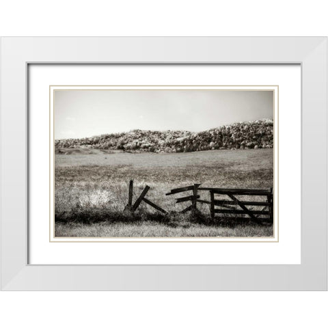 Autumn Pastures III White Modern Wood Framed Art Print with Double Matting by Hausenflock, Alan