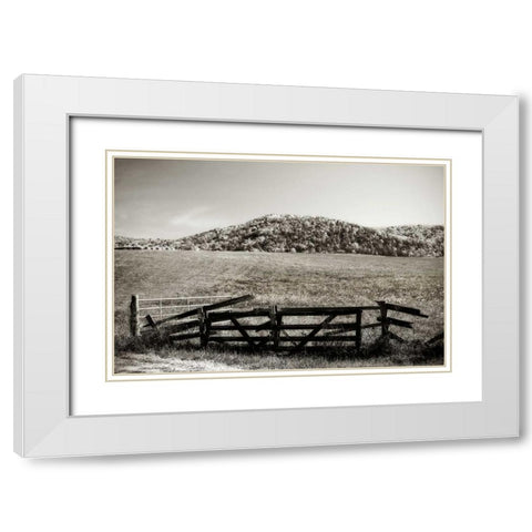 Autumn Pastures IV White Modern Wood Framed Art Print with Double Matting by Hausenflock, Alan